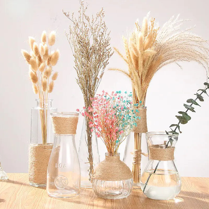 Creative Glass Vase for Home Decor with Plants - high-quality product